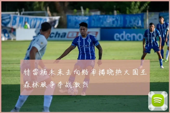 特雷杨未来去向赔率揭晓热火国王森林狼争夺战激烈