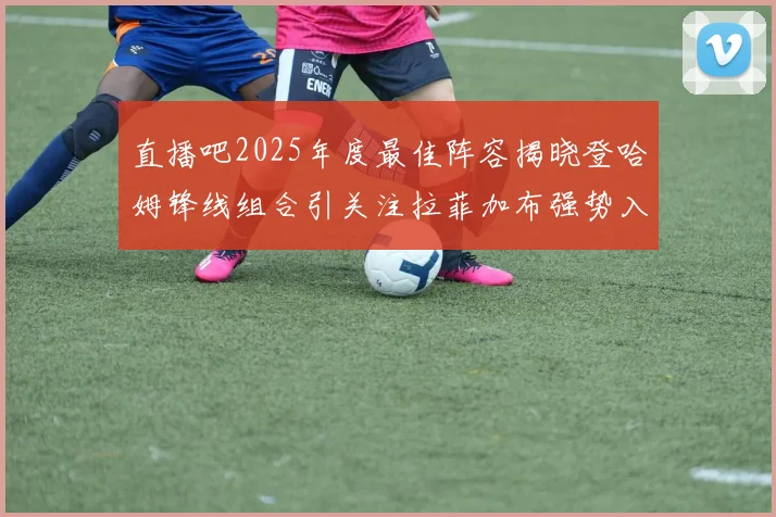 直播吧2025年度最佳阵容揭晓登哈姆锋线组合引关注拉菲加布强势入选