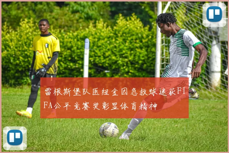 雷根斯堡队医纽金因急救球迷获FIFA公平竞赛奖彰显体育精神